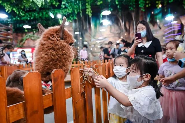 深圳万达广场最新官方消息，深圳什么时候有万达广场了