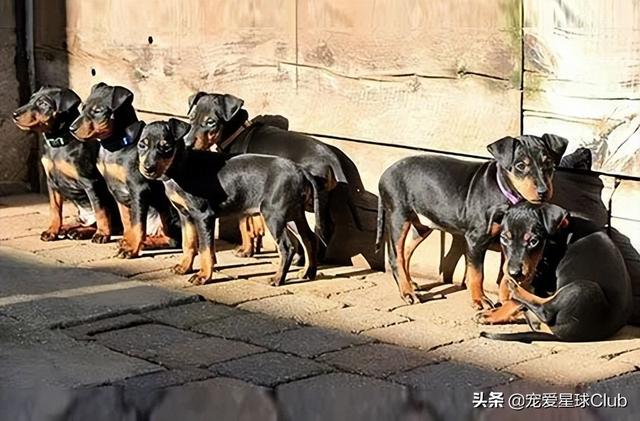 曼彻斯特德比是什么意思，回顾英超时代经典的“曼彻斯特德比”