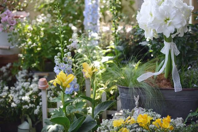 法式花园如何欣赏，海妈花园访问阳台花园满分案例