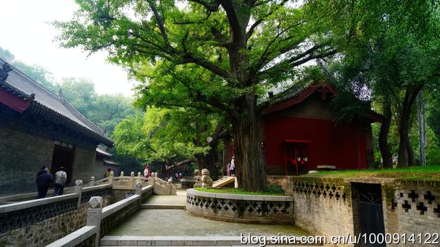 介绍一下太原晋祠，21晋行太原