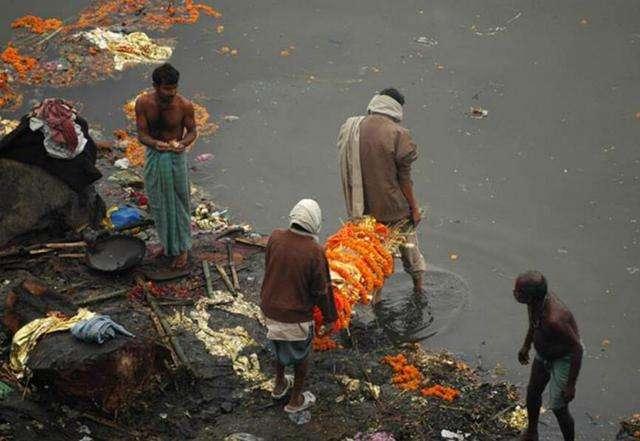 印度鲶鱼泥土里也能活，印度恒河的怒吼