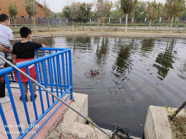 石家庄动物园攻略，石家庄动物园游玩自带饭攻略