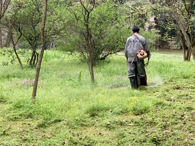 杭州西湖之白堤，“白堤”名出白居易