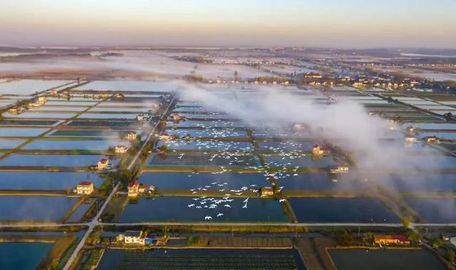 第21届安徽省摄影艺术展入选证书，“安徽·镜像——安徽省摄影作品展”在杭启幕