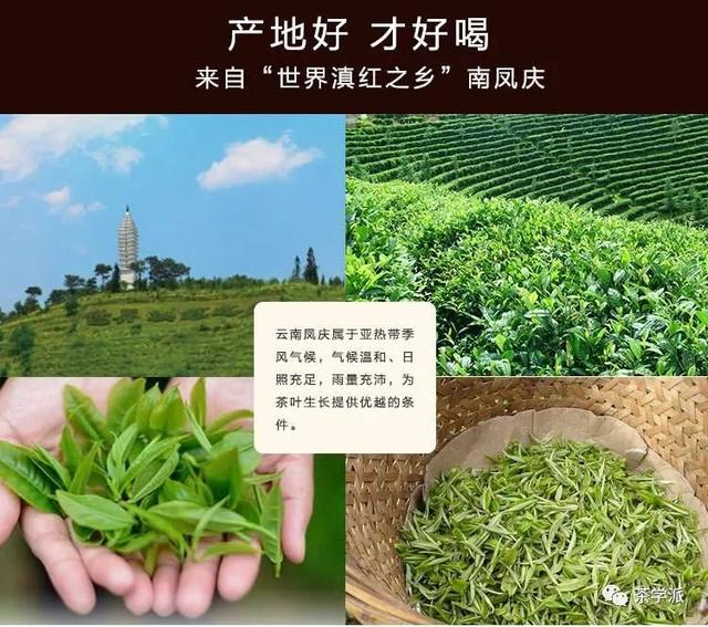 英贵茶的用料，蒙茶茶词典英九