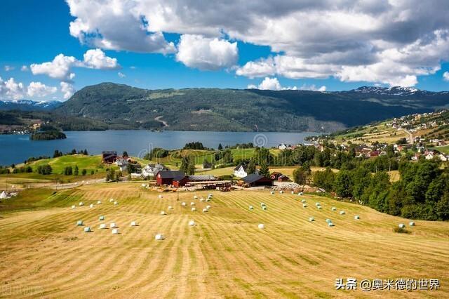 挪威人口及面积，挪威这个国家有多大（欧洲唯一“闷声发大财”的国家）