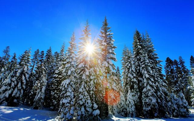 关于冰雪的诗句，有哪些描写冰雪的诗句（10首冬雪诗词）