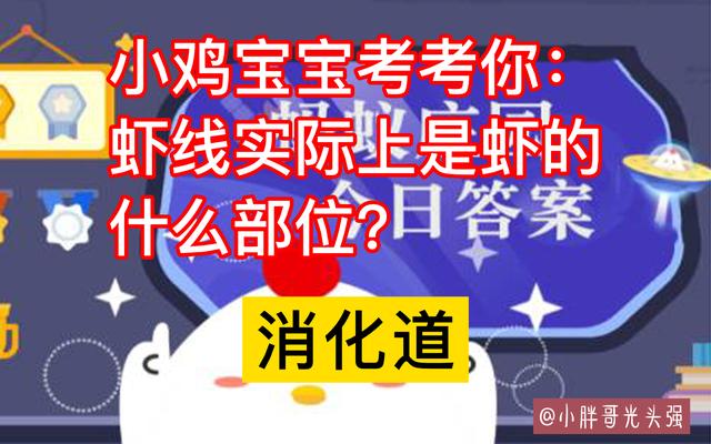 虾上下都是虾线吗，虾线实际上是虾的什么部位