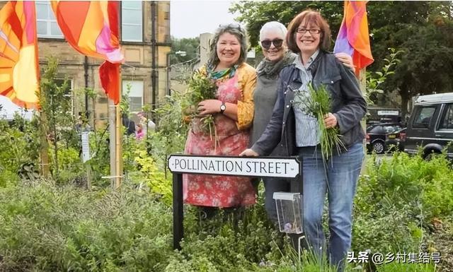 菜园与花园的设计，成就田园生活的食材花园