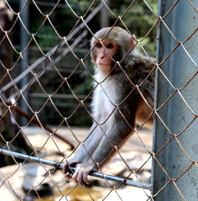 来自北宫国家森林公园的惊喜，仰天山国家森林公园游玩攻略图