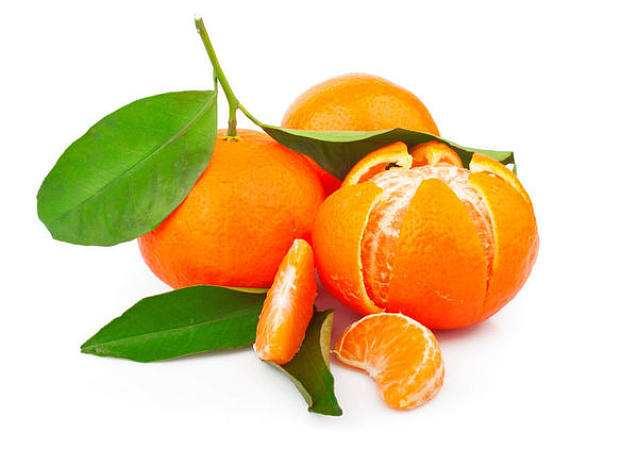 橘子的品种有哪些，柑橘品种有哪些