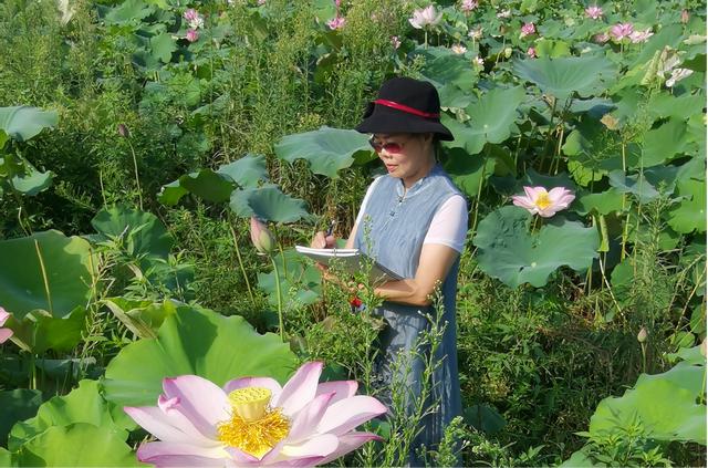 名家禅意水墨荷花，水墨淋漓写荷韵