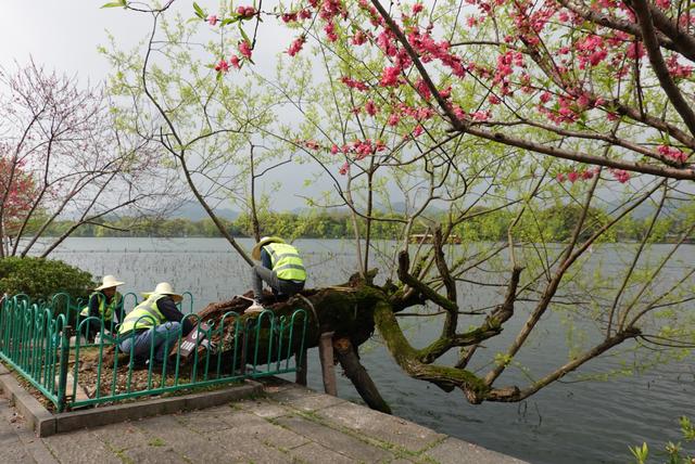 杭州西湖之白堤，“白堤”名出白居易
