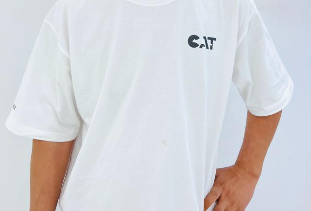 企业品牌的构建方案，中小公司如何塑造品牌体系