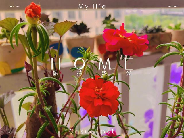 茶文案短句干净苦尽甘来，茶有浮沉