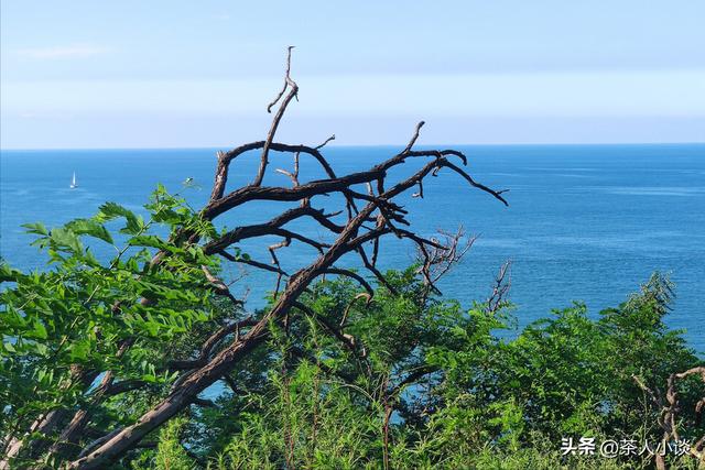 一年什么时候最冷，一年当中最冷的是几月份