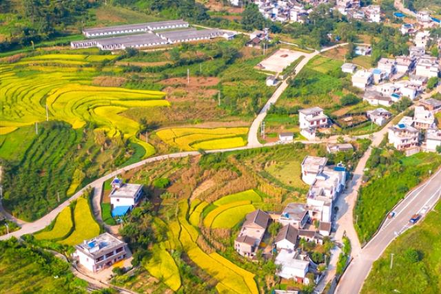 建设工程规费取费标准，建设项目工程建设其他费的计费依据和取费标准