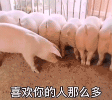 发给男生搞笑表情包，搞笑表情包别装矜持了