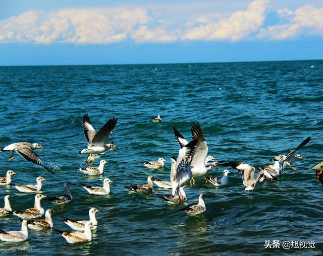 青海旅游自驾游路线，青海省自驾游路线推荐汇总