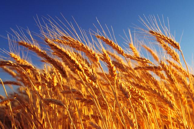 何为虚荣心态，虚荣的人是什么心理