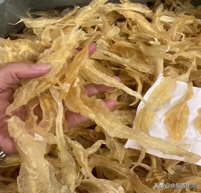 人工合成鱼胶图片，合成鱼胶怎么分辨