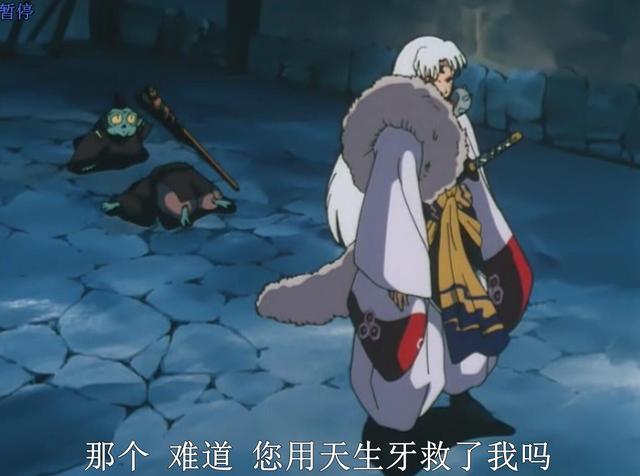 犬夜叉和杀生丸，犬夜叉杀生丸实力排行（杀生丸讨厌犬夜叉的五个理由）