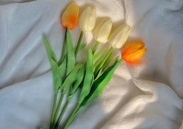 怎么试探一个男人是否喜欢你，怎样能看出男人是否真心喜欢你