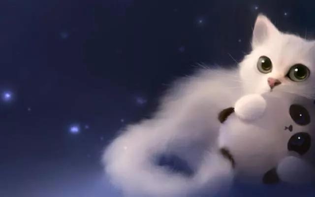 传说中九大灵猫，九尾猫得道成仙启迪