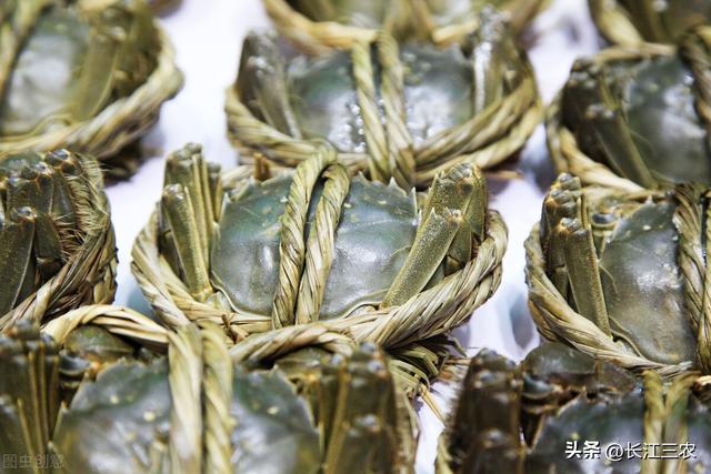 大闸蟹一般到什么季节，大闸蟹洄游高峰在