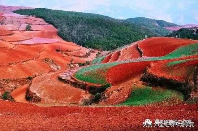 我国的土壤分类有哪些，中国15种主要土壤类型和具体分布地区