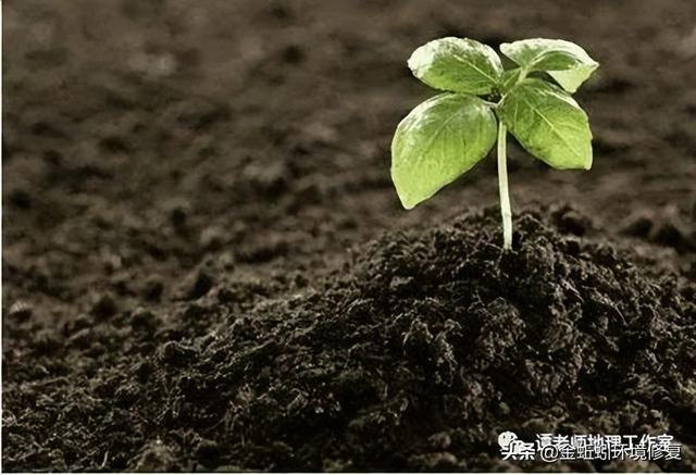 我国的土壤分类有哪些，中国15种主要土壤类型和具体分布地区
