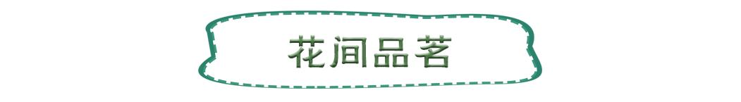 南山旅游攻略必去景点，南山旅游景区花开正好时