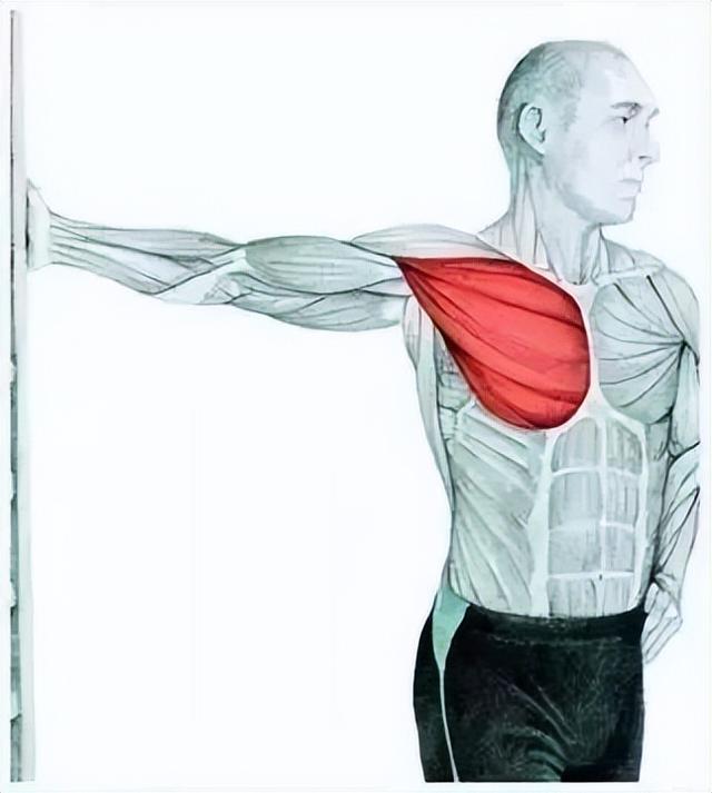 10分钟懒人拉伸训练动作，这6组33个拉伸动作绝了