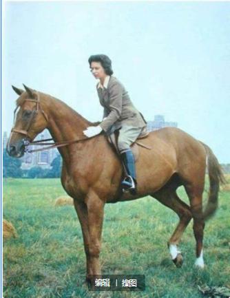 英国女王伊丽莎白二世是谁的子女，英国女王伊丽莎白二世