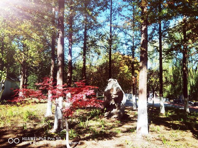 北宫国家森林公园景点介绍，北宫国家森林公园游记