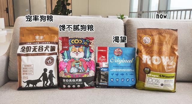 养马犬的十大坏处，养马犬的十大优缺点（为什么大家都不太敢养“马犬”）