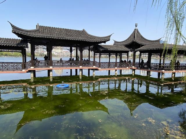 冬天的南京最美的风景，盘点南京春天最美的6个地方