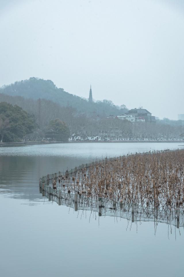 西湖和玄武湖的人文景观比较，孤山不孤西湖的心脏