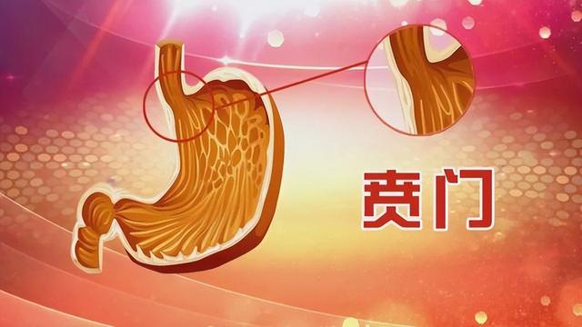 贲门疼肥胖(贲门涨得难受)