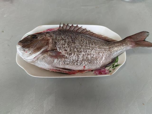 20种常见的海鱼，40种“好吃不贵”的野生海鱼