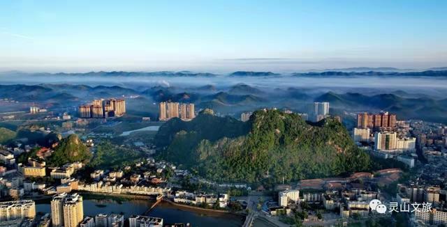 广东灵山荔枝采摘，灵山荔枝已成熟