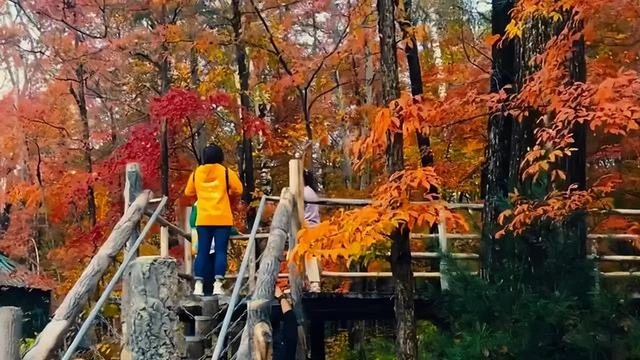 火车沿途风景最佳路线夏天，国内这些赏秋火车路线