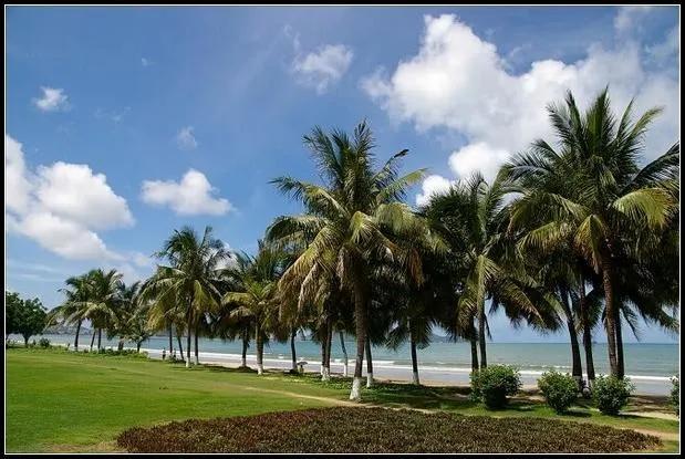 临春岭森林公园，三亚旅游景点近期开放吗