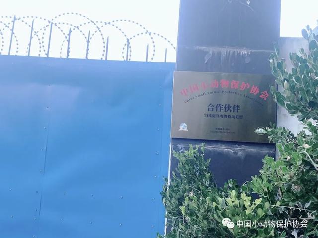 流浪动物救助站，流浪动物救助站统计（爱心人士反映四川江油流浪动物救助站动物生存环境恶劣）