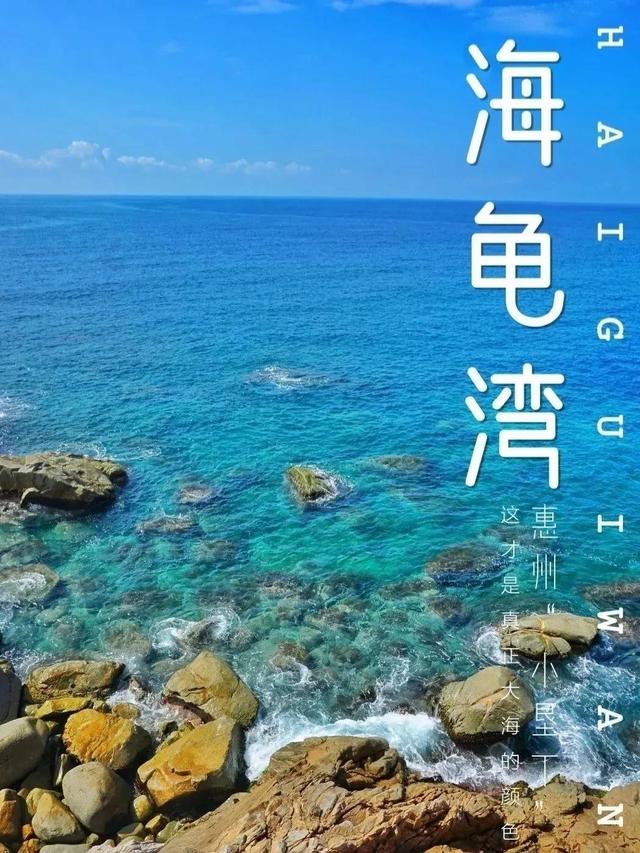 惠州旅游攻略巽寮湾蓝眼泪，广东惠州海龟湾放大招啦