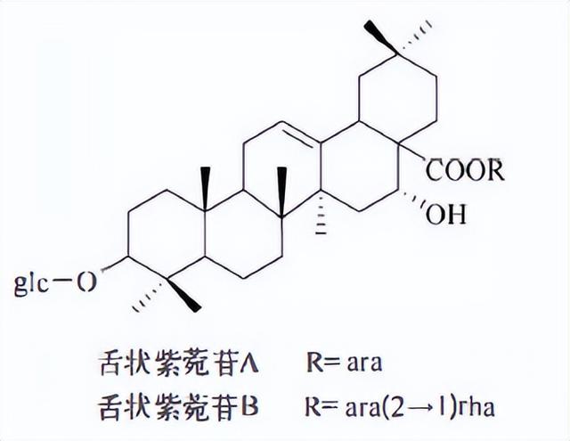 萜类的作用及功能，植物功效成分-三萜及其苷类
