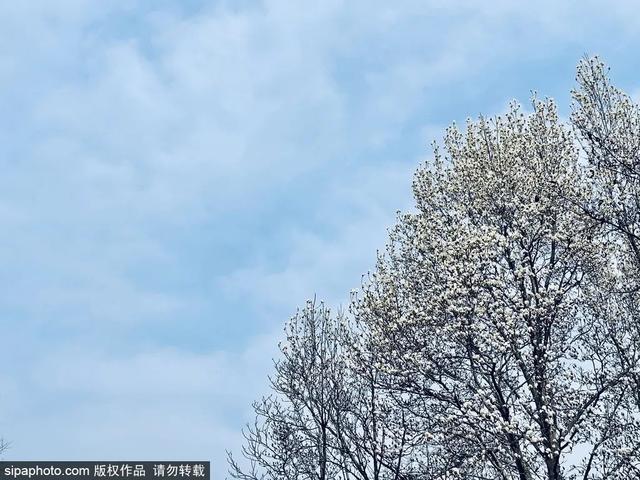 北京带孩子玩的地方推荐，北京小宝宝周末遛娃必备好去处（带娃去京郊这4个天然氧吧游山戏水~）