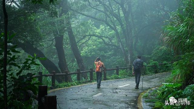周日打卡鹏城第一峰，从蝴蝶谷-好汉坡步道登顶