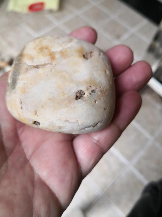 河流寻石记，渭河拾石记