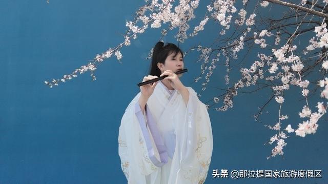 伊犁河谷最值得去的地方，伊犁河谷赏花攻略